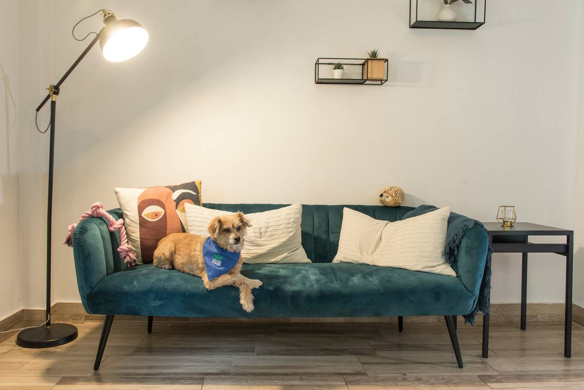 11 Best Small Love Seats That Recline for Cozy, Space-Smart Living